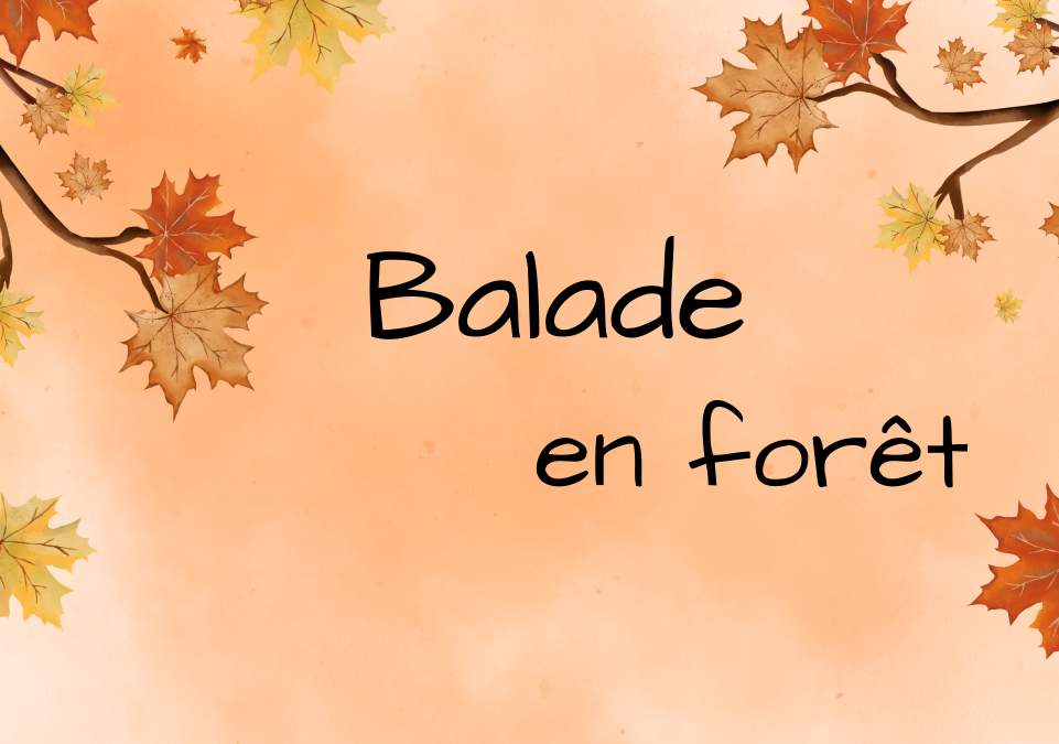 visite-des-cuisines-2